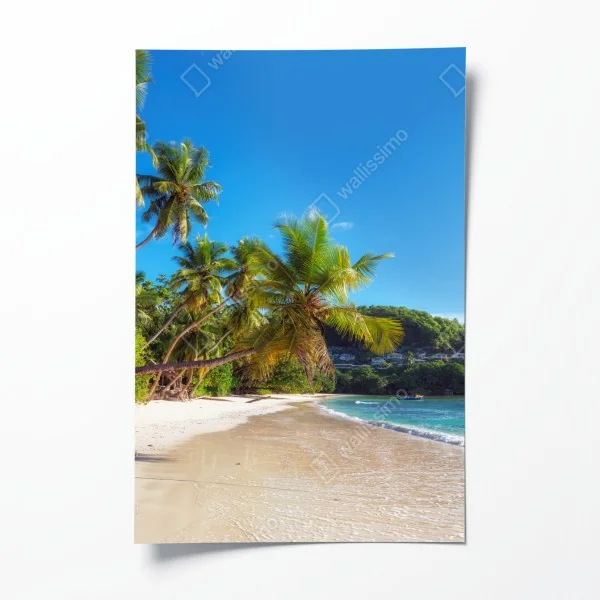 Poster tropischer palmstrand – Wallnifity® Poster tropischer palmstrand – Wallnifity®