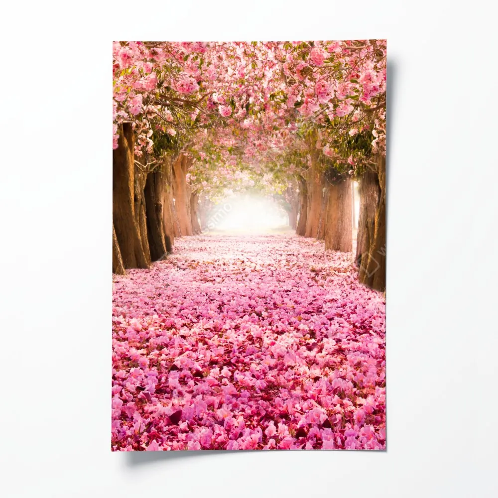 Poster rosa blütenallee unter kirschbäumen – Wallnifity® Poster rosa blütenallee unter kirschbäumen – Wallnifity®