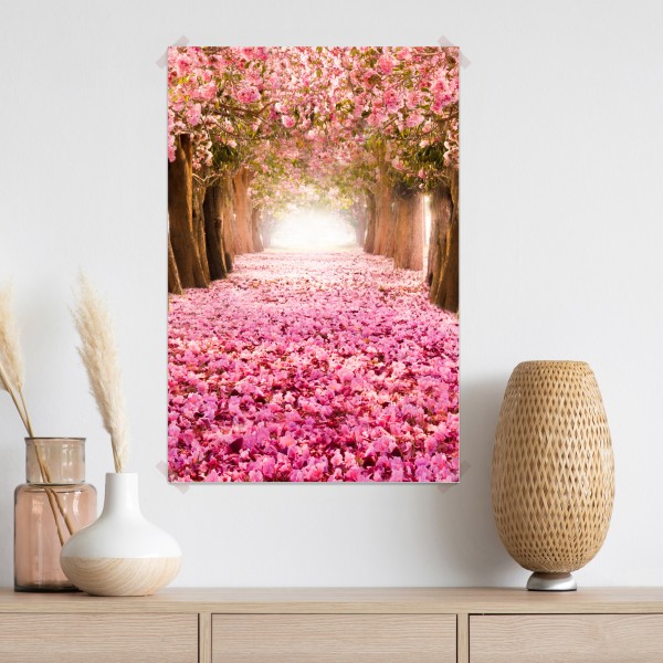 Poster rosa blütenallee unter kirschbäumen – Wallnifity® Poster rosa blütenallee unter kirschbäumen – Wallnifity®