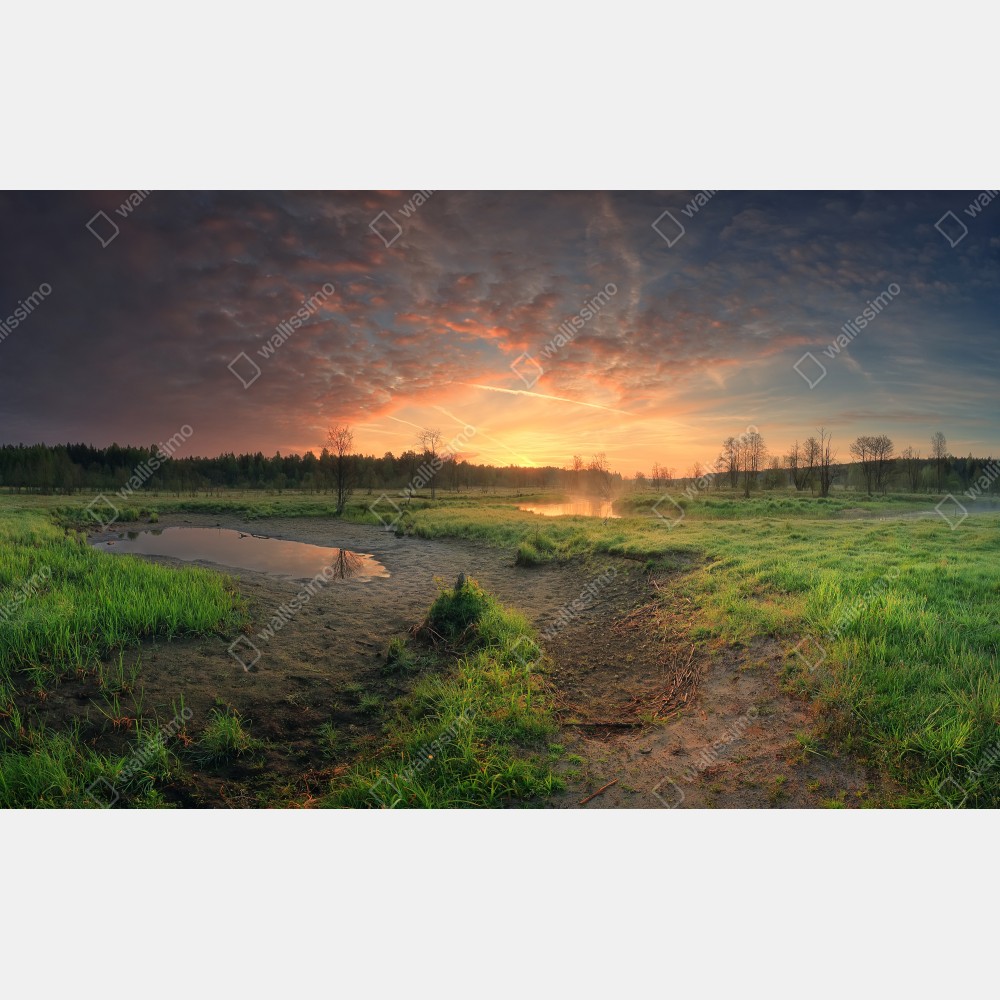 Poster sonnenuntergang über einer ruhigen wiese – Wallnifity®