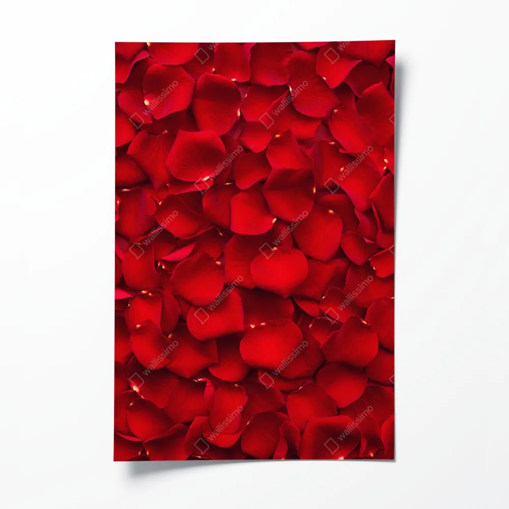 Poster rote rosenblätter hintergrund – Wallnifity® Poster rote rosenblätter hintergrund – Wallnifity®