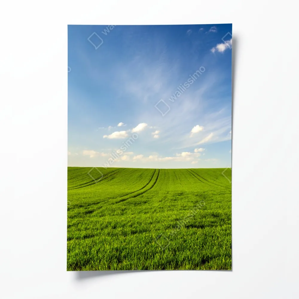 Poster frühlingsgrüne wiesenpanorama – Wallnifity® Poster frühlingsgrüne wiesenpanorama – Wallnifity®
