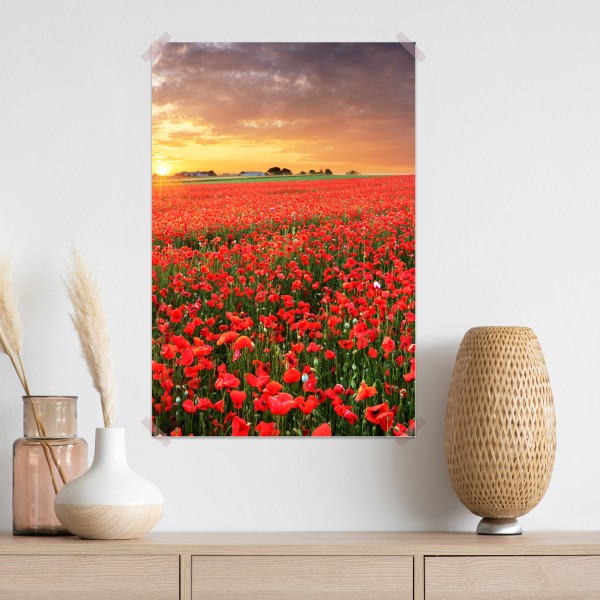 Poster mohnfeld im sonnenuntergang – Wallnifity® Poster mohnfeld im sonnenuntergang – Wallnifity®