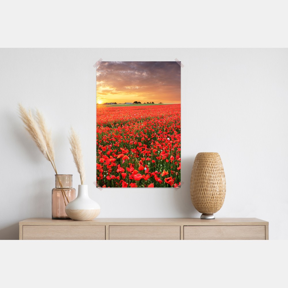 Poster mohnfeld im sonnenuntergang – Wallnifity® Poster mohnfeld im sonnenuntergang – Wallnifity®