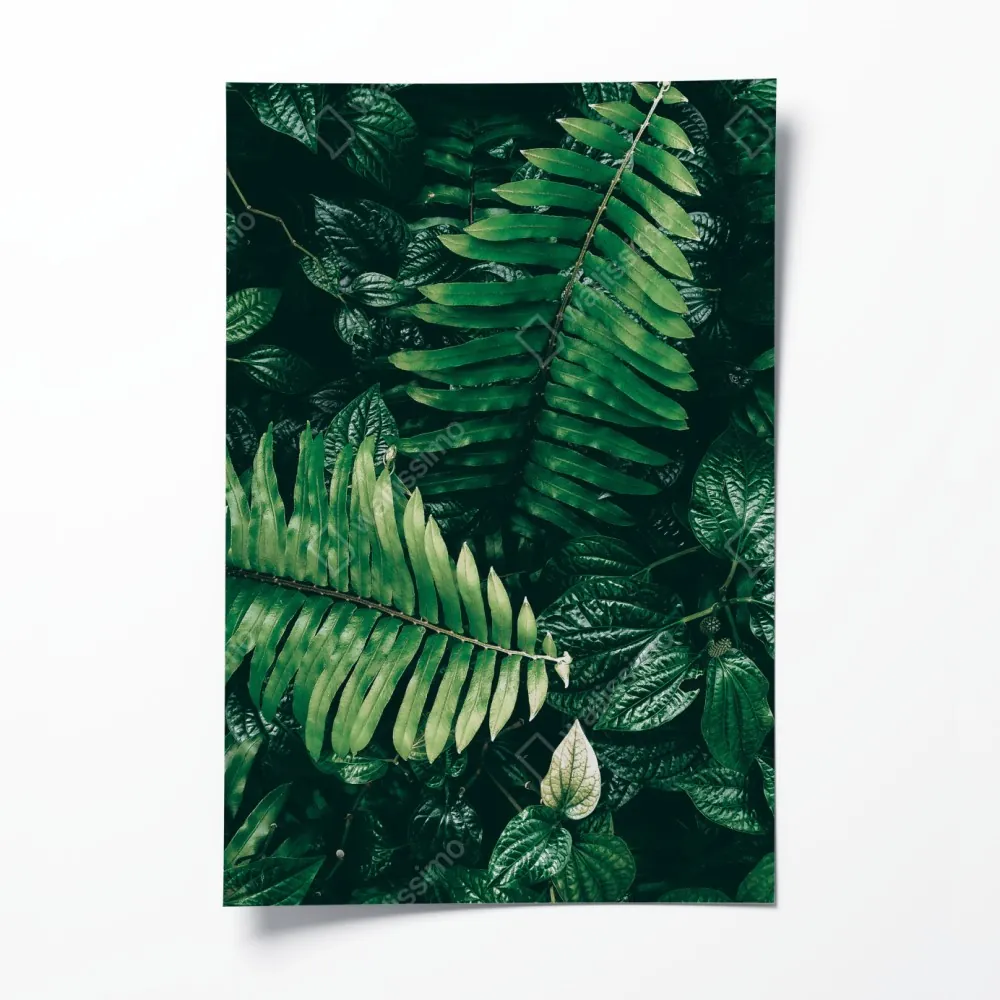 Poster üppige tropische blätter – Wallnifity® Poster üppige tropische blätter – Wallnifity®