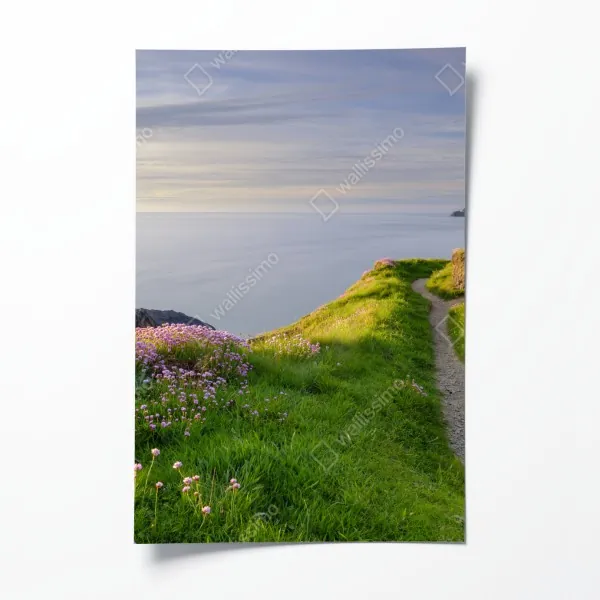 Poster surfer im goldenen sonnenuntergang – Wallnifity®