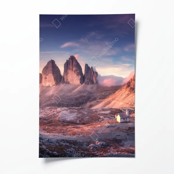 Poster kaktus- und sukkulentenmuster – Wallnifity®