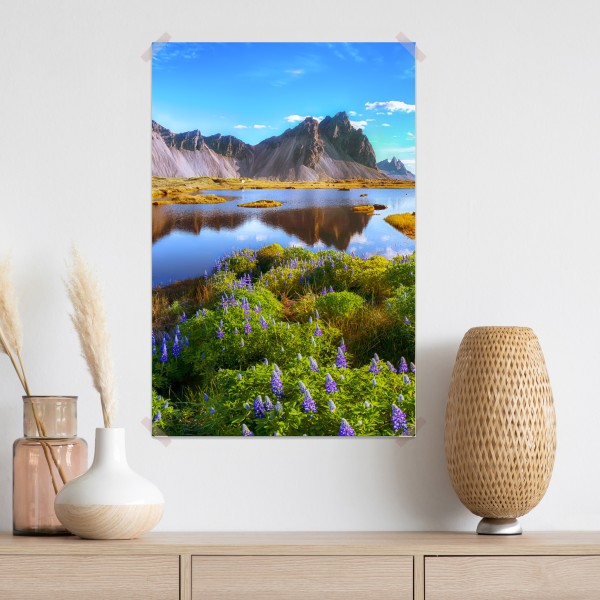 Poster lebendige lupinenwiesen bei Vestrahorn, Island – Wallnifity®