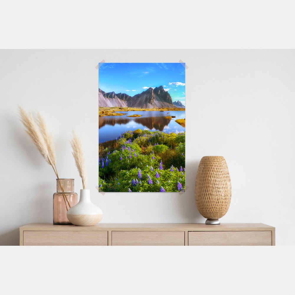 Poster lebendige lupinenwiesen bei Vestrahorn, Island – Wallnifity®