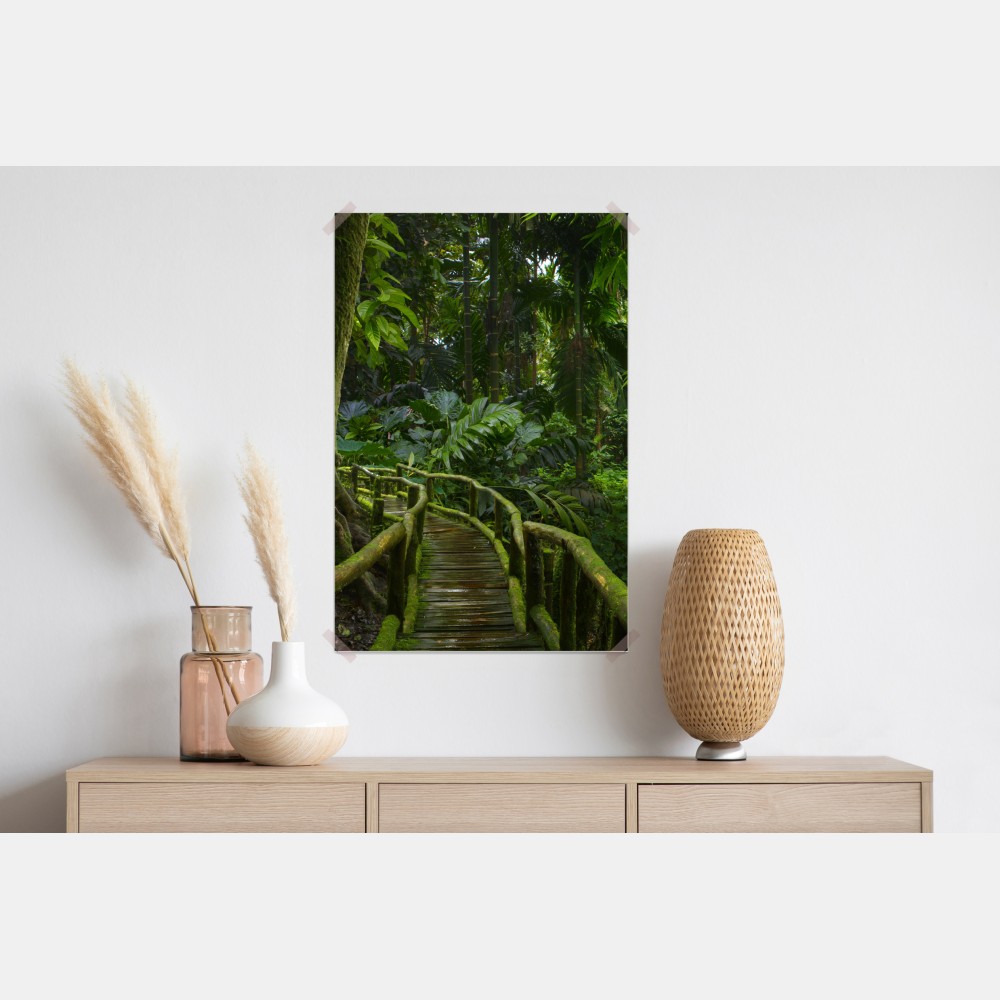 Poster ruhiger dschungelsteg durch üppigen regenwald – Wallnifity® Poster ruhiger dschungelsteg durch üppigen regenwald – Wallnifity®