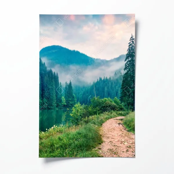 Poster mangrovensteg durch üppigen grünen dschungel – Wallnifity®