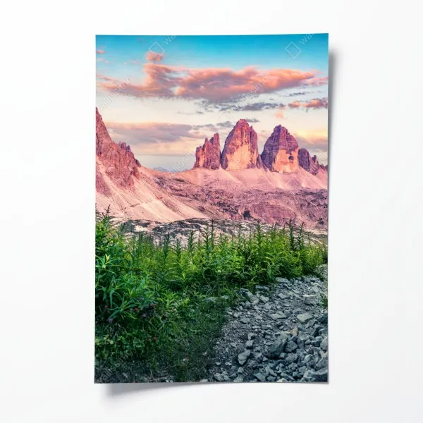 Poster mangrovensteg durch üppigen grünen dschungel – Wallnifity®