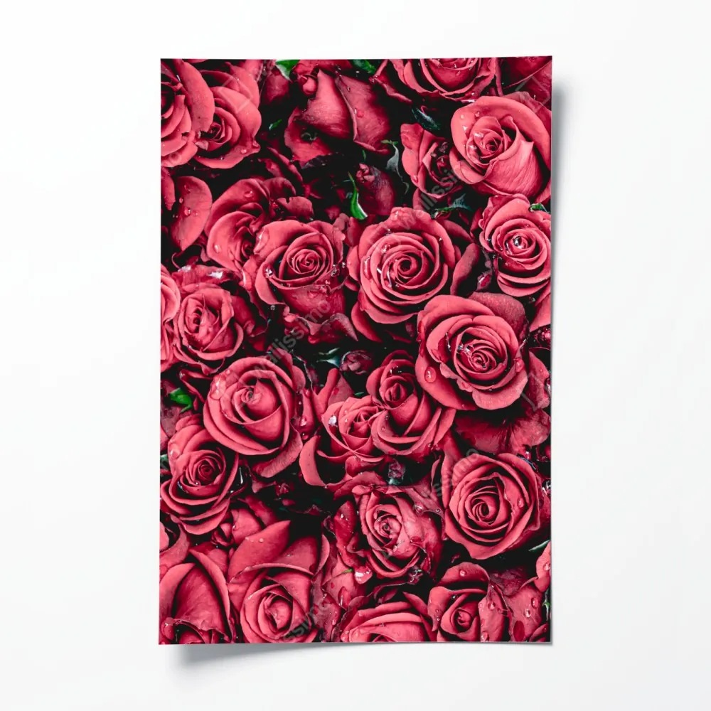 Poster pralle rote rosen wandbild – Wallnifity® Poster pralle rote rosen wandbild – Wallnifity®