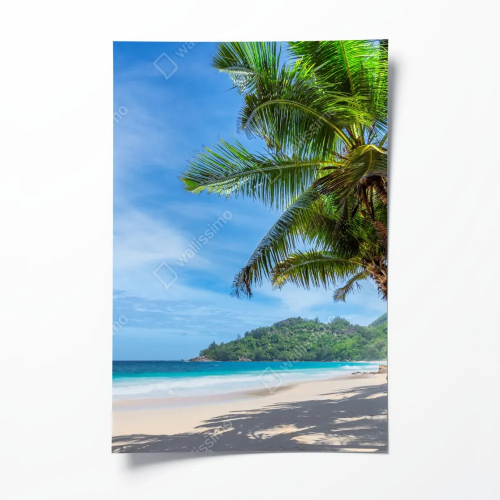 Poster tropischer strand mit palmen und segelboot – Wallnifity® Poster tropischer strand mit palmen und segelboot – Wallnifity®