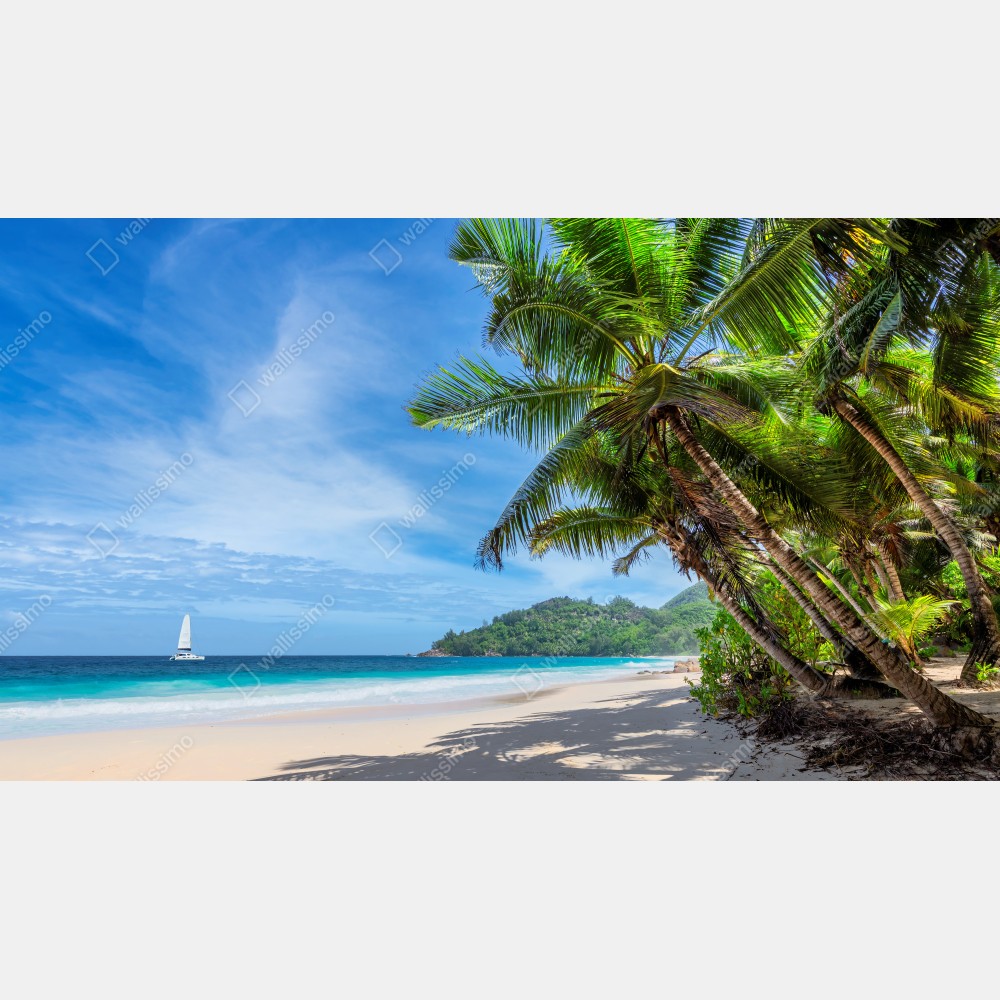 Poster tropischer strand mit palmen und segelboot – Wallnifity® Poster tropischer strand mit palmen und segelboot – Wallnifity®