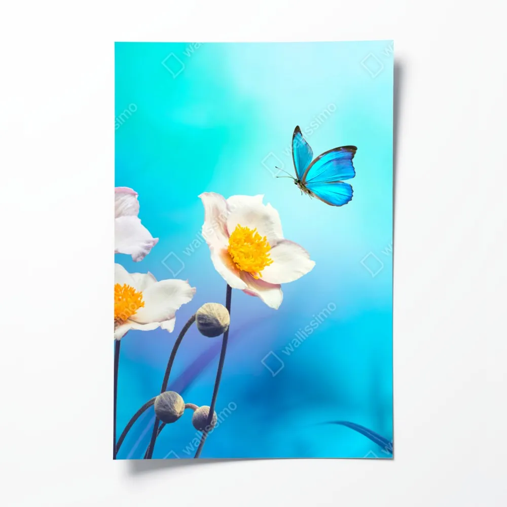 Poster zarte rosa anemonen und blauer schmetterling – Wallnifity® Poster zarte rosa anemonen und blauer schmetterling – Wallnifity®