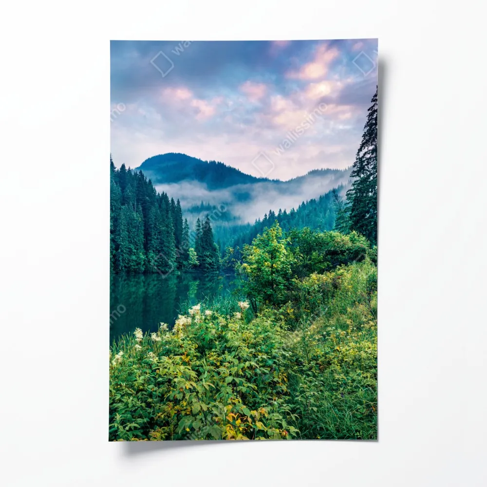 Poster nebliger sonnenaufgang über Lacu Rosu – Wallnifity® Poster nebliger sonnenaufgang über Lacu Rosu – Wallnifity®