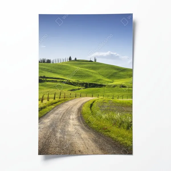 Poster tropischer palmstrand – Wallnifity®