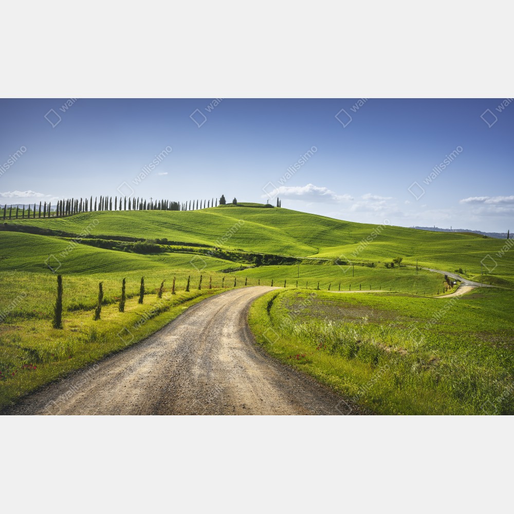 Poster ländliche straße in der Toskana durch grüne hügel – Wallnifity® Poster ländliche straße in der Toskana durch grüne hügel – Wallnifity®
