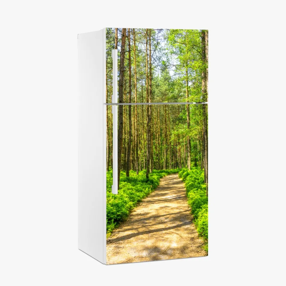 Kühlschrankaufkleber sonniger waldweg zwischen kiefern – Wallnifity®