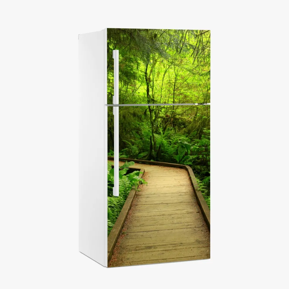 Kühlschrankaufkleber ruhiger grüner waldsteg – Wallnifity®