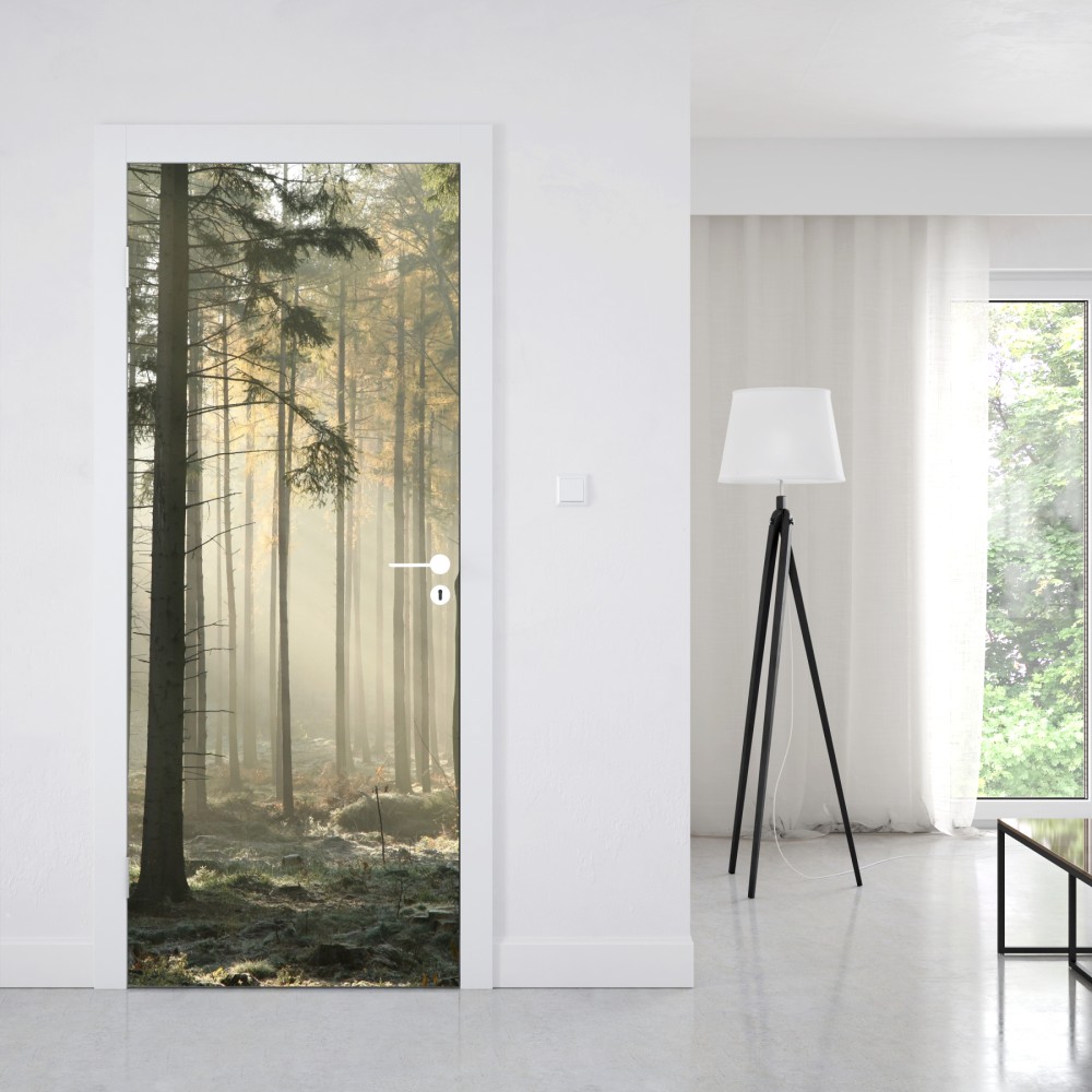 Türaufkleber nebliger morgenwald mit sonnenstrahlen – Wallnifity® Türaufkleber nebliger morgenwald mit sonnenstrahlen – Wallnifity®