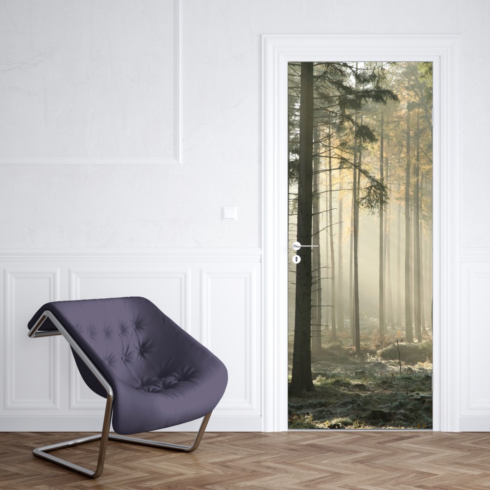 Türaufkleber nebliger morgenwald mit sonnenstrahlen – Wallnifity® Türaufkleber nebliger morgenwald mit sonnenstrahlen – Wallnifity®