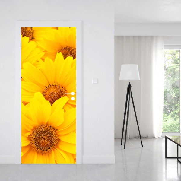 Türaufkleber zarte löwenzahnsamen in monochrom – Wallnifity®