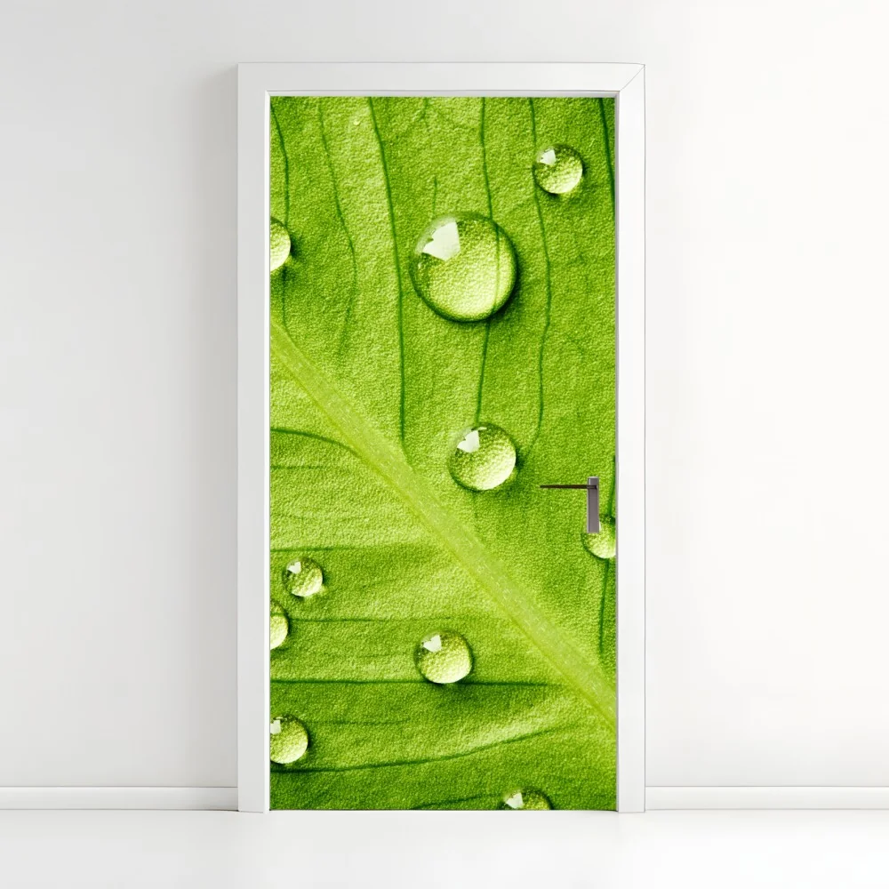 Türaufkleber frisches grünes blatt mit wassertropfen – Wallnifity® Türaufkleber frisches grünes blatt mit wassertropfen – Wallnifity®