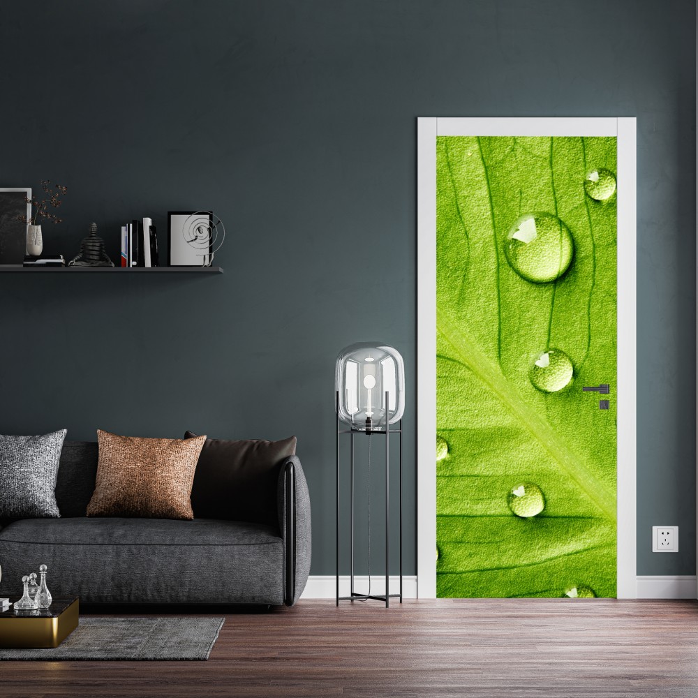 Türaufkleber frisches grünes blatt mit wassertropfen – Wallnifity® Türaufkleber frisches grünes blatt mit wassertropfen – Wallnifity®