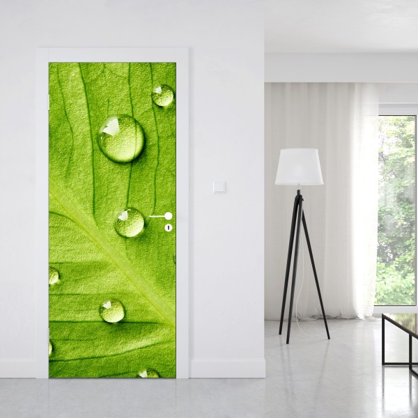 Türaufkleber frisches grünes blatt mit wassertropfen – Wallnifity® Türaufkleber frisches grünes blatt mit wassertropfen – Wallnifity®