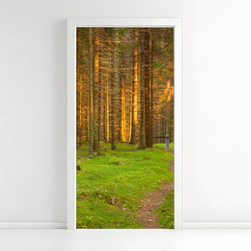 Türaufkleber goldenes licht im moosbedeckten kiefernwald – Wallnifity® Türaufkleber goldenes licht im moosbedeckten kiefernwald – Wallnifity®