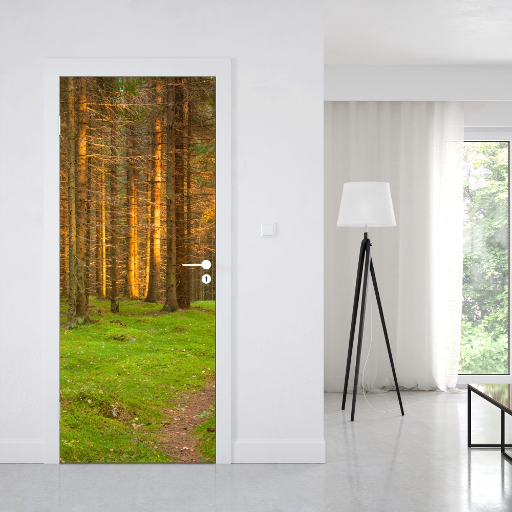 Türaufkleber goldenes licht im moosbedeckten kiefernwald – Wallnifity® Türaufkleber goldenes licht im moosbedeckten kiefernwald – Wallnifity®