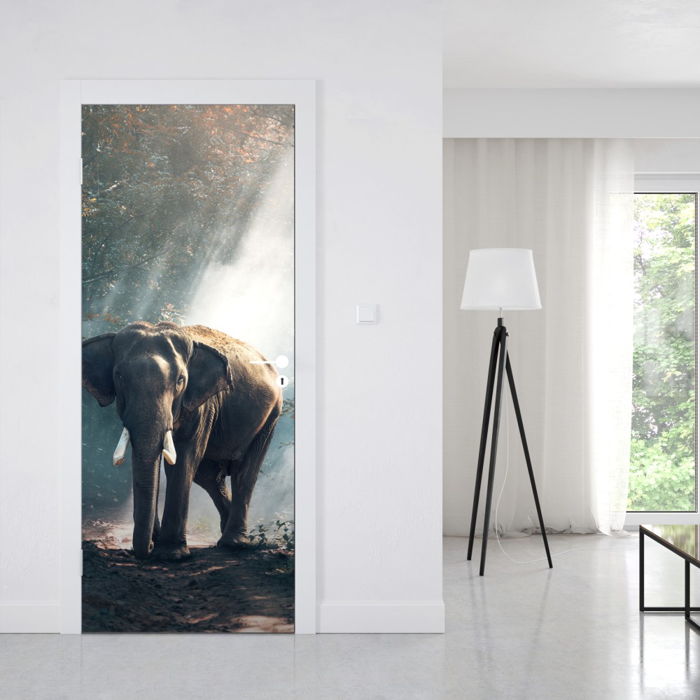 Türaufkleber majestätischer elefant im sonnenlichtdurchfluteten wald – Wallnifity® Türaufkleber majestätischer elefant im sonnenlichtdurchfluteten wald – Wallnifity®