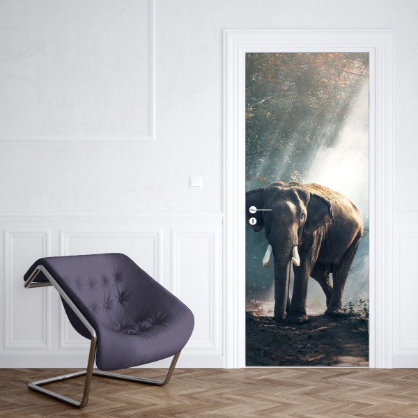 Türaufkleber majestätischer elefant im sonnenlichtdurchfluteten wald – Wallnifity® Türaufkleber majestätischer elefant im sonnenlichtdurchfluteten wald – Wallnifity®