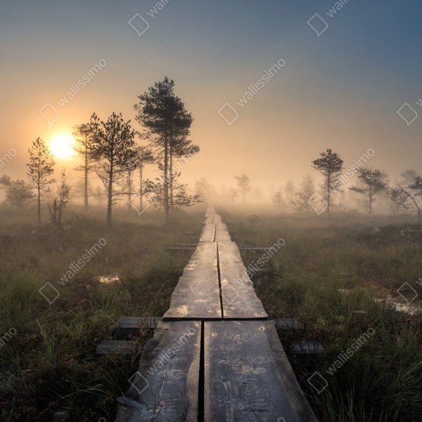Türaufkleber nebliger sonnenaufgang über dem holzsteg – Wallnifity® Türaufkleber nebliger sonnenaufgang über dem holzsteg – Wallnifity®