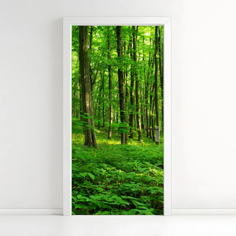 Türaufkleber sonniger grüner wald im frühling – Wallnifity®