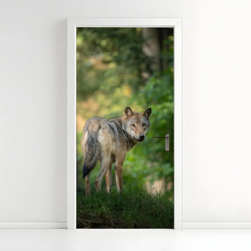 Türaufkleber wolf auf der lichtung im wald – Wallnifity®
