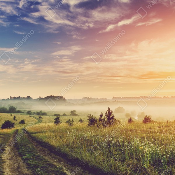 Türaufkleber nebeliger sonnenaufgang über einer ländlichen wiese – Wallnifity® Türaufkleber nebeliger sonnenaufgang über einer ländlichen wiese – Wallnifity®