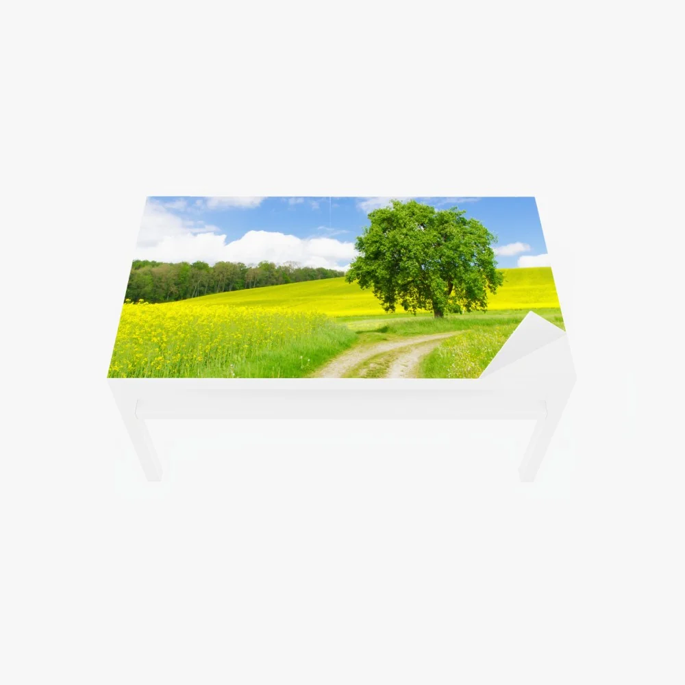 Tischaufkleber und Schreibtischaufkleber sonniger feldweg mit einsamem baum – Wallnifity® Tischaufkleber und Schreibtischaufkleber sonniger feldweg mit einsamem baum – Wallnifity®