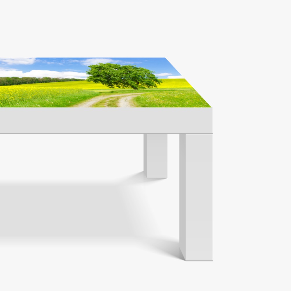 Tischaufkleber und Schreibtischaufkleber sonniger feldweg mit einsamem baum – Wallnifity® Tischaufkleber und Schreibtischaufkleber sonniger feldweg mit einsamem baum – Wallnifity®