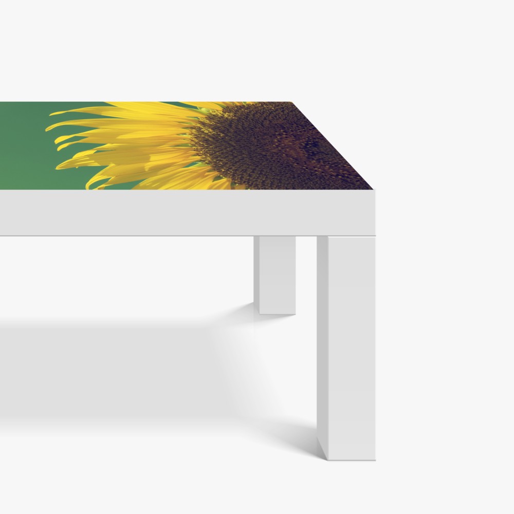 Tischaufkleber und Schreibtischaufkleber strahlende sonnenblume vor vintage-himmel – Wallnifity® Tischaufkleber und Schreibtischaufkleber strahlende sonnenblume vor vintage-himmel – Wallnifity®