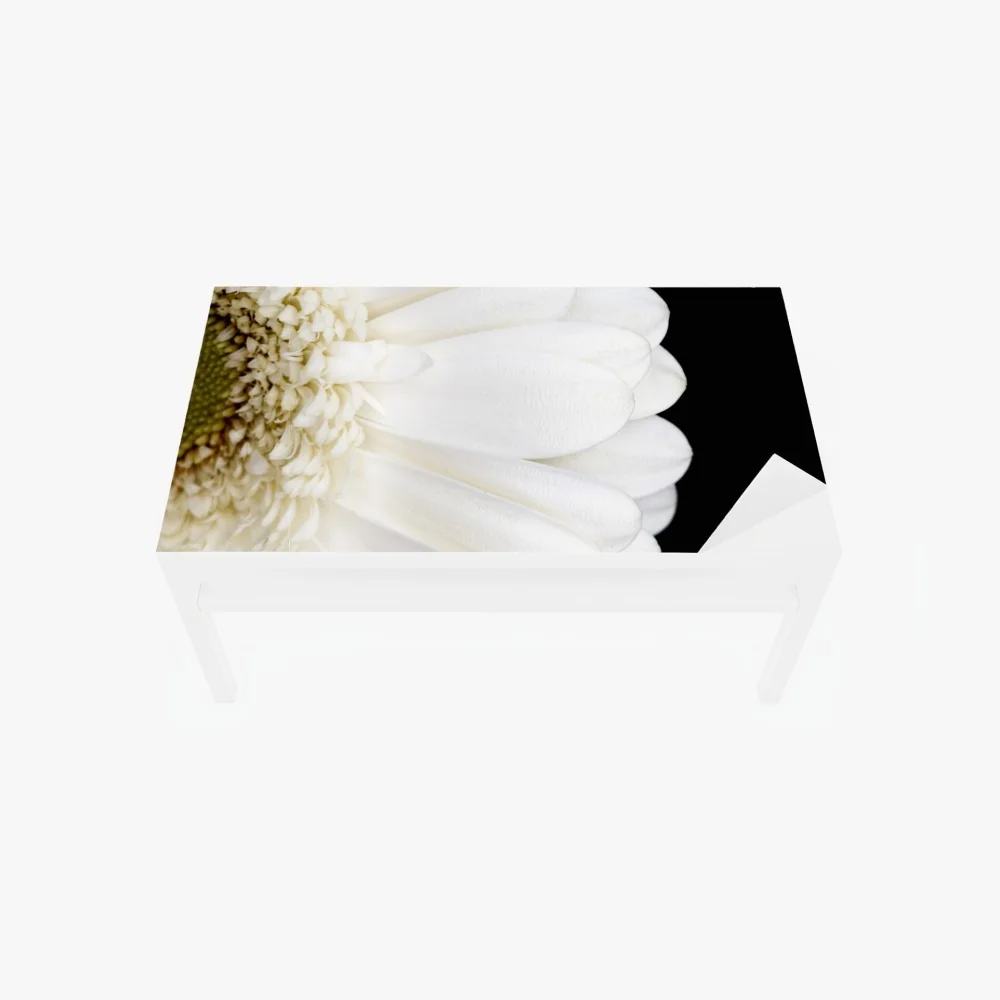 Tischaufkleber und Schreibtischaufkleber weiße gerbera auf schwarzem hintergrund minimalistische nahaufnahme – Wallnifity® Tischaufkleber und Schreibtischaufkleber weiße gerbera auf schwarzem hintergrund minimalistische nahaufnahme – Wallnifity®