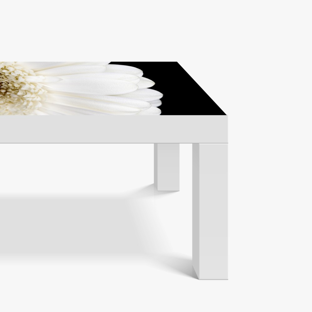 Tischaufkleber und Schreibtischaufkleber weiße gerbera auf schwarzem hintergrund minimalistische nahaufnahme – Wallnifity® Tischaufkleber und Schreibtischaufkleber weiße gerbera auf schwarzem hintergrund minimalistische nahaufnahme – Wallnifity®