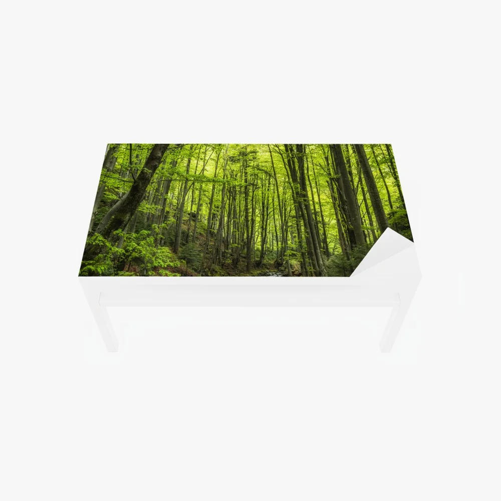 Tischaufkleber und Schreibtischaufkleber ruhiger grüner waldbach – Wallnifity® Tischaufkleber und Schreibtischaufkleber ruhiger grüner waldbach – Wallnifity®