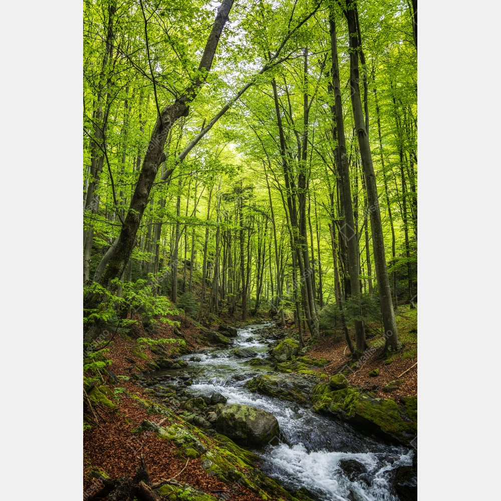 Tischaufkleber und Schreibtischaufkleber ruhiger grüner waldbach – Wallnifity® Tischaufkleber und Schreibtischaufkleber ruhiger grüner waldbach – Wallnifity®