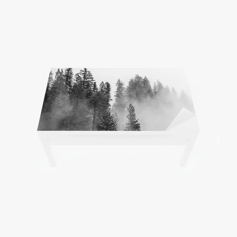 Tischaufkleber und Schreibtischaufkleber nebliger Giant Forest, Sequoia National Park – Wallnifity® Tischaufkleber und Schreibtischaufkleber nebliger Giant Forest, Sequoia National Park – Wallnifity®