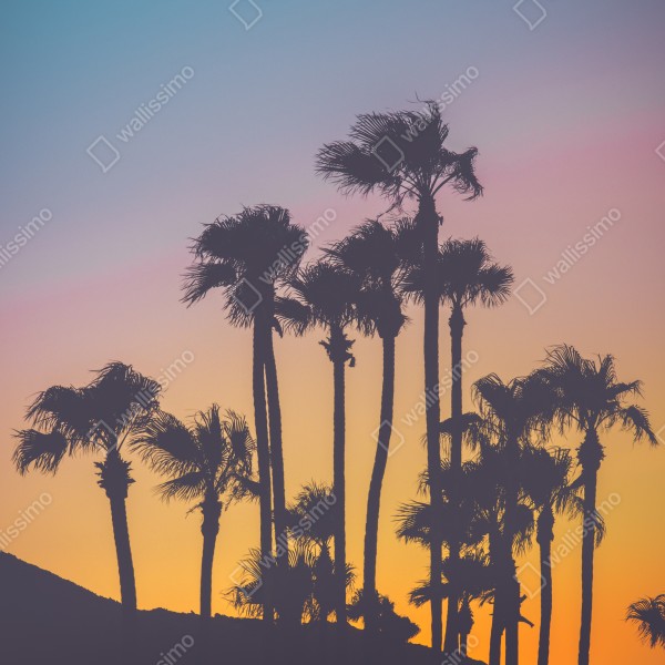 Tischaufkleber und Schreibtischaufkleber retro tropische palmen bei sonnenuntergang – Wallnifity® Tischaufkleber und Schreibtischaufkleber retro tropische palmen bei sonnenuntergang – Wallnifity®