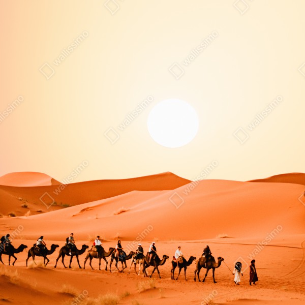 Tischaufkleber und Schreibtischaufkleber karawane von kamelen in der wüste bei sonnenuntergang – Wallnifity® Tischaufkleber und Schreibtischaufkleber karawane von kamelen in der wüste bei sonnenuntergang – Wallnifity®