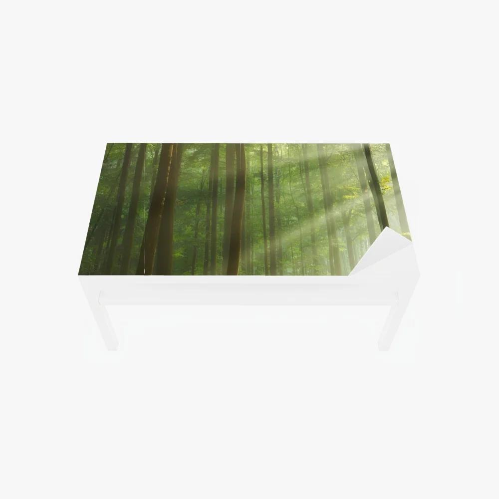 Tischaufkleber und Schreibtischaufkleber sonniger morgenwald – Wallnifity® Tischaufkleber und Schreibtischaufkleber sonniger morgenwald – Wallnifity®